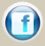 facebook button